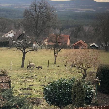 Pension S láskou Karel Bezděz Exteriér fotografie