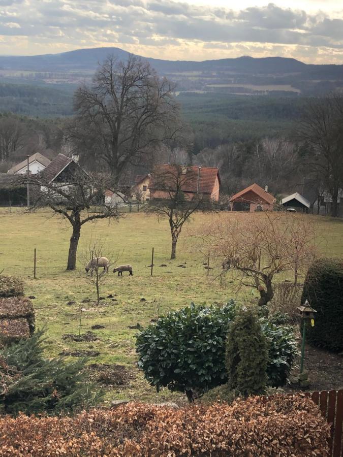 Pension S láskou Karel Bezděz Exteriér fotografie